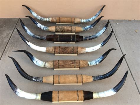 Longhorn horns for sale. Things To Know About Longhorn horns for sale. 